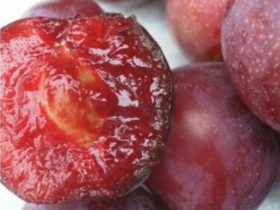 Náhled Švestkomeruňka 'Unika'